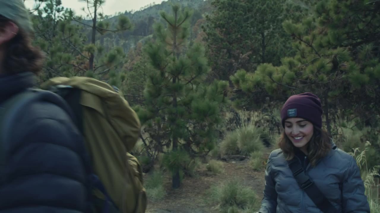 Hikers exploring a green forest trail
